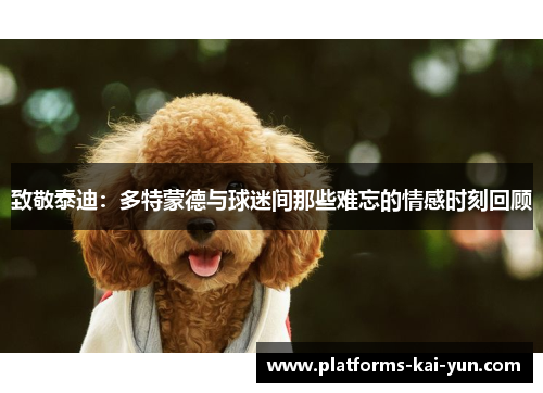 致敬泰迪:多特蒙德与球迷间那些难忘的情感时刻回顾 致敬泰迪:多特蒙德与球迷间那些难忘的情感时刻回顾