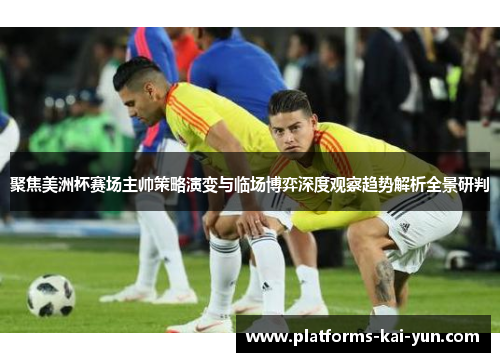 聚焦美洲杯赛场主帅策略演变与临场博弈深度观察趋势解析全景研判